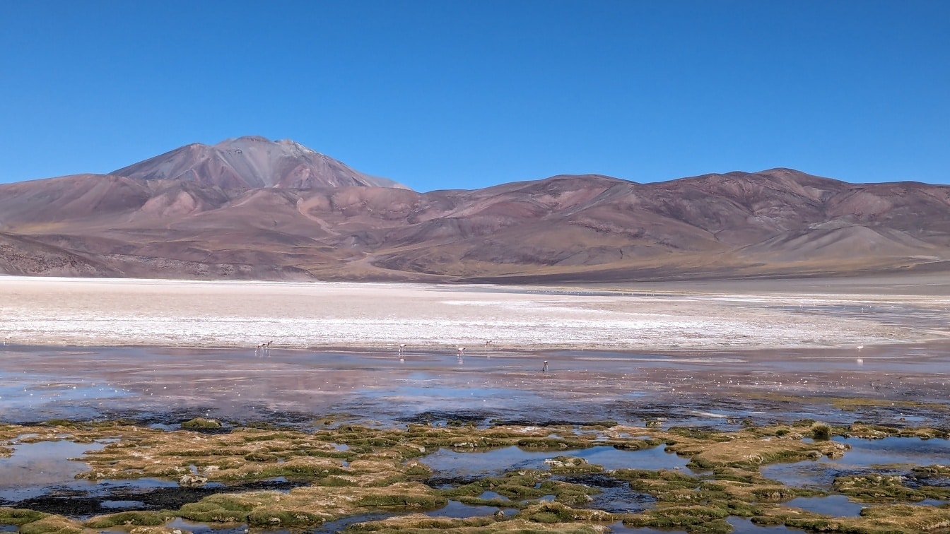 Landskap med Anderna i bakgrunden vid San Fernando del Valle de Catamarca i Argentina