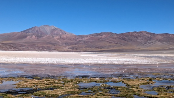以安第斯山脉为背景的风景，位于阿根廷的卡塔马卡圣费尔南多德尔山谷