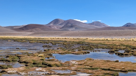 Landscape at El Tatio geyser and mountains in the background