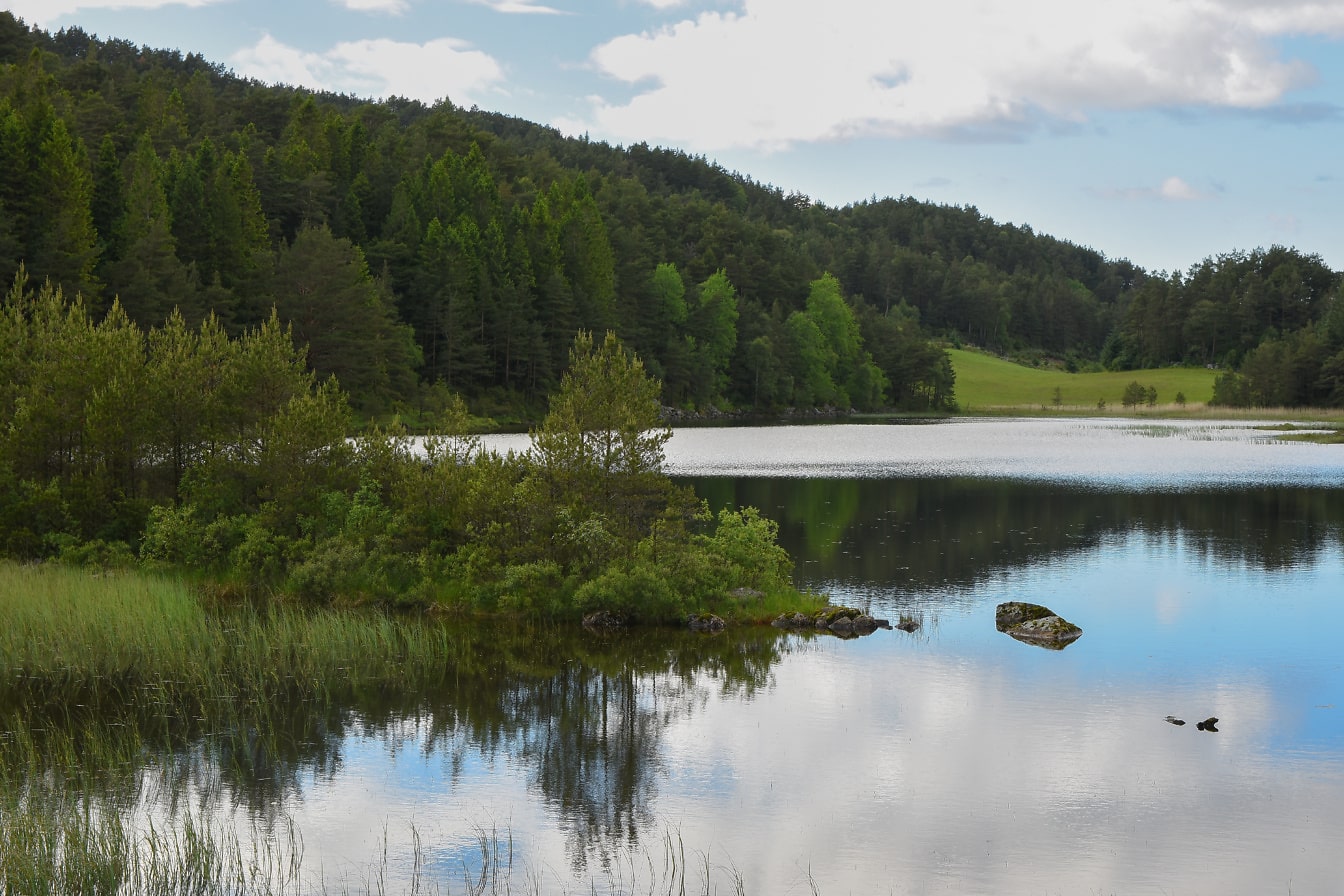 ノルウェーの丘陵地帯にある緑の松林に囲まれたのどかな湖
