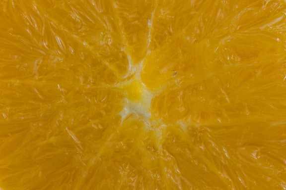 เนื้อมาโครของหน้าตัดส้มโอ
