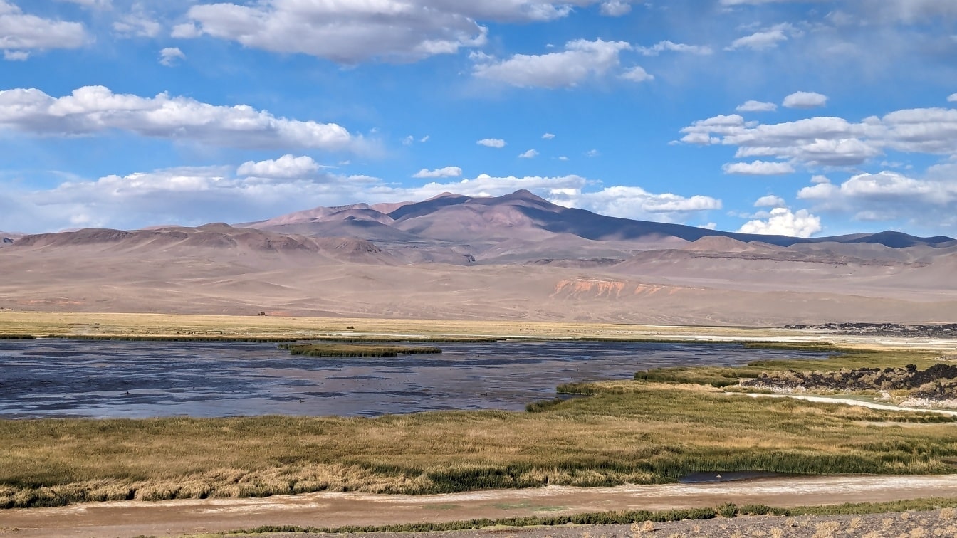 Bažina na náhorní plošině v poušti Catamarca v přírodní rezervaci na severu Argentiny