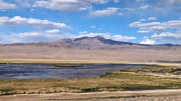 Marshland on plateau in Catamarca desert in natural reserve in north Argentina