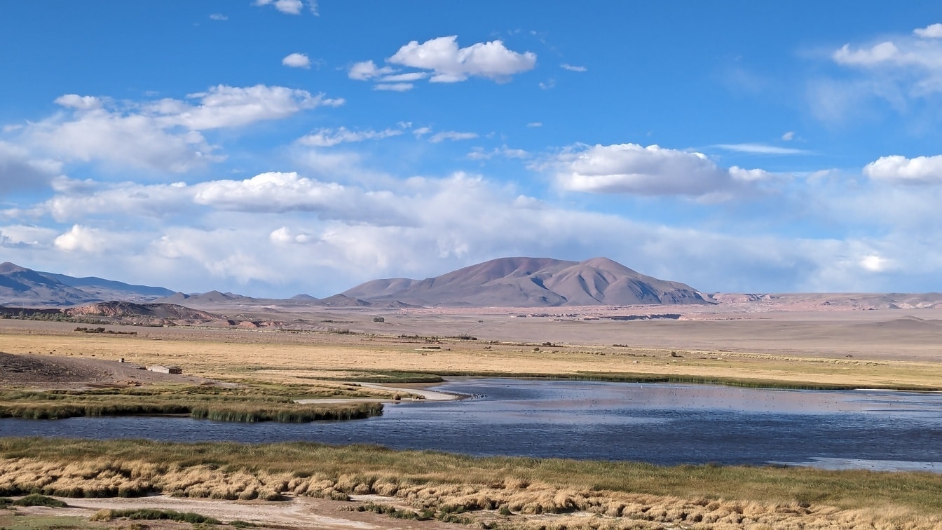 アルゼンチン北部の砂漠高原の風景
