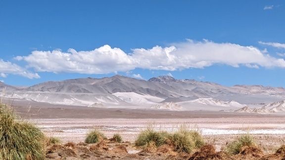 Пейзаж на пустинята Катамарка в Аржентина с планини в далечината