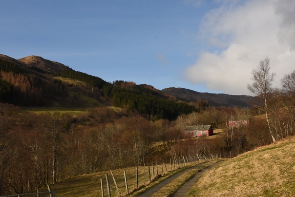 ノルウェーの田舎の丘の中腹にある家に通じる道