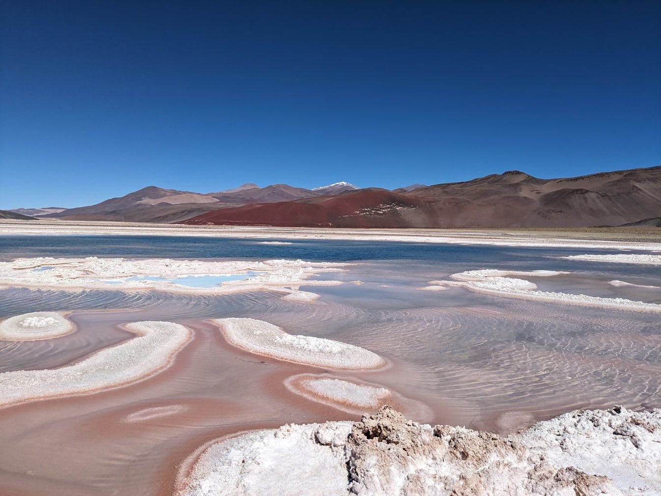 Wybrzeże słonowodnego jeziora z osadami kryształów soli na pustyni Salar de Antofalla