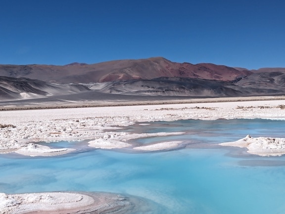 Salt oasis at salt plateau in Salar de Antofalla in Catamarca desert in Andes mountains with deposits of salt on ground