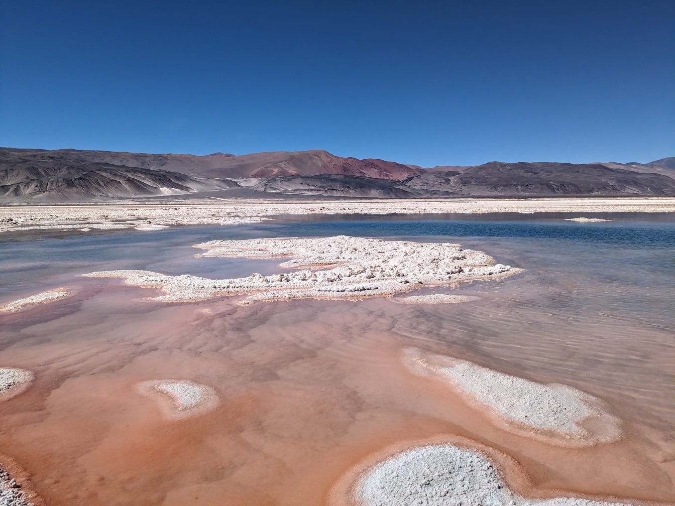 Солончаковый оазис в пустыне Салар-де-Антофилья с соляными отложениями
