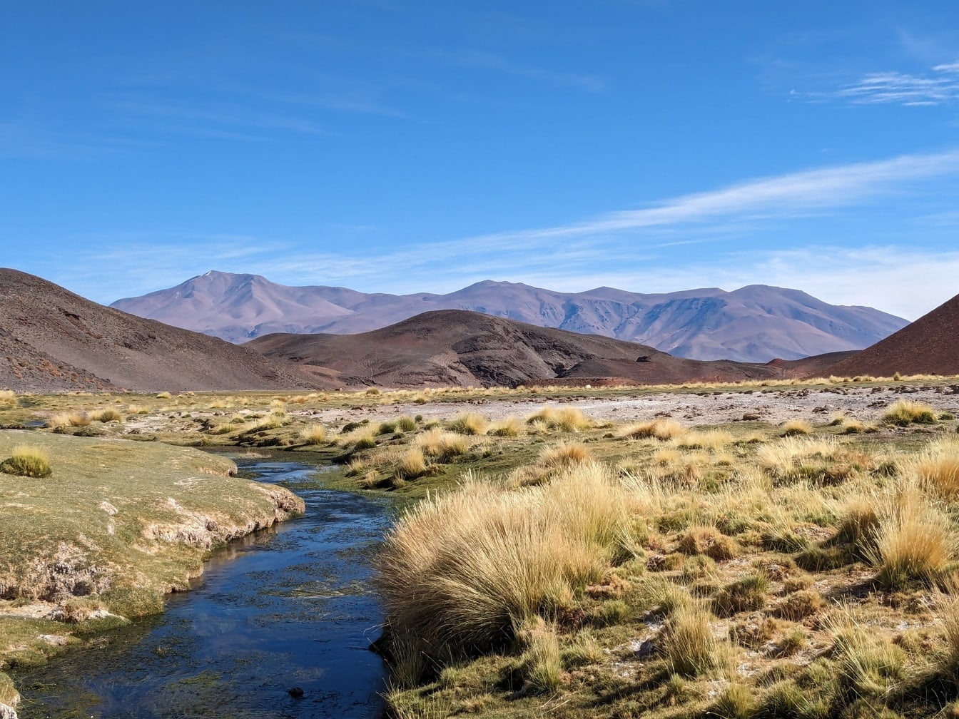 Prúd pretekajúci púšťou na vyprahnutej náhornej plošine v Puna de Atacama v Andách