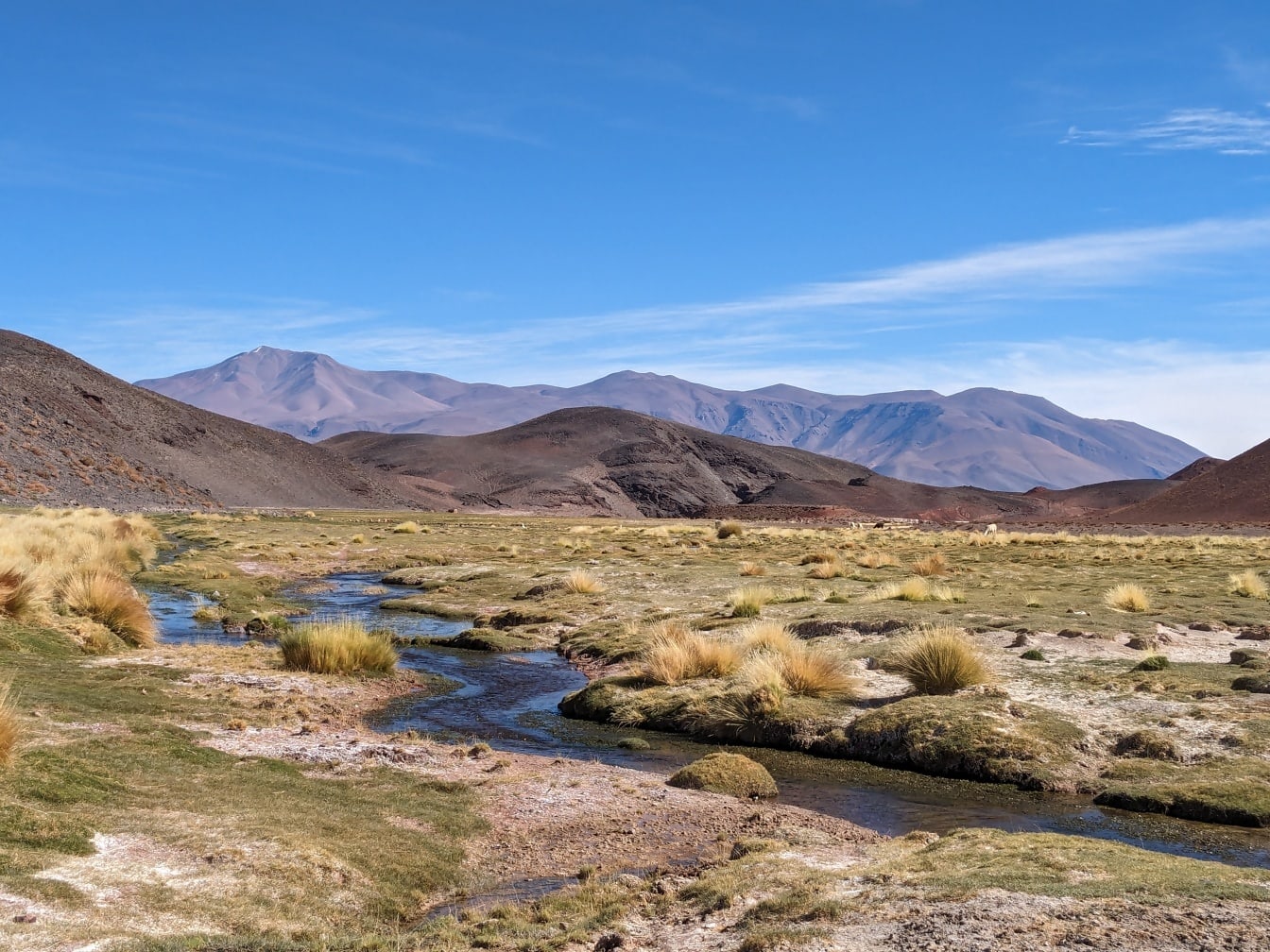 Ein Bach, der durch ein trockenes Plateau in der Wüste Catamarca fließt