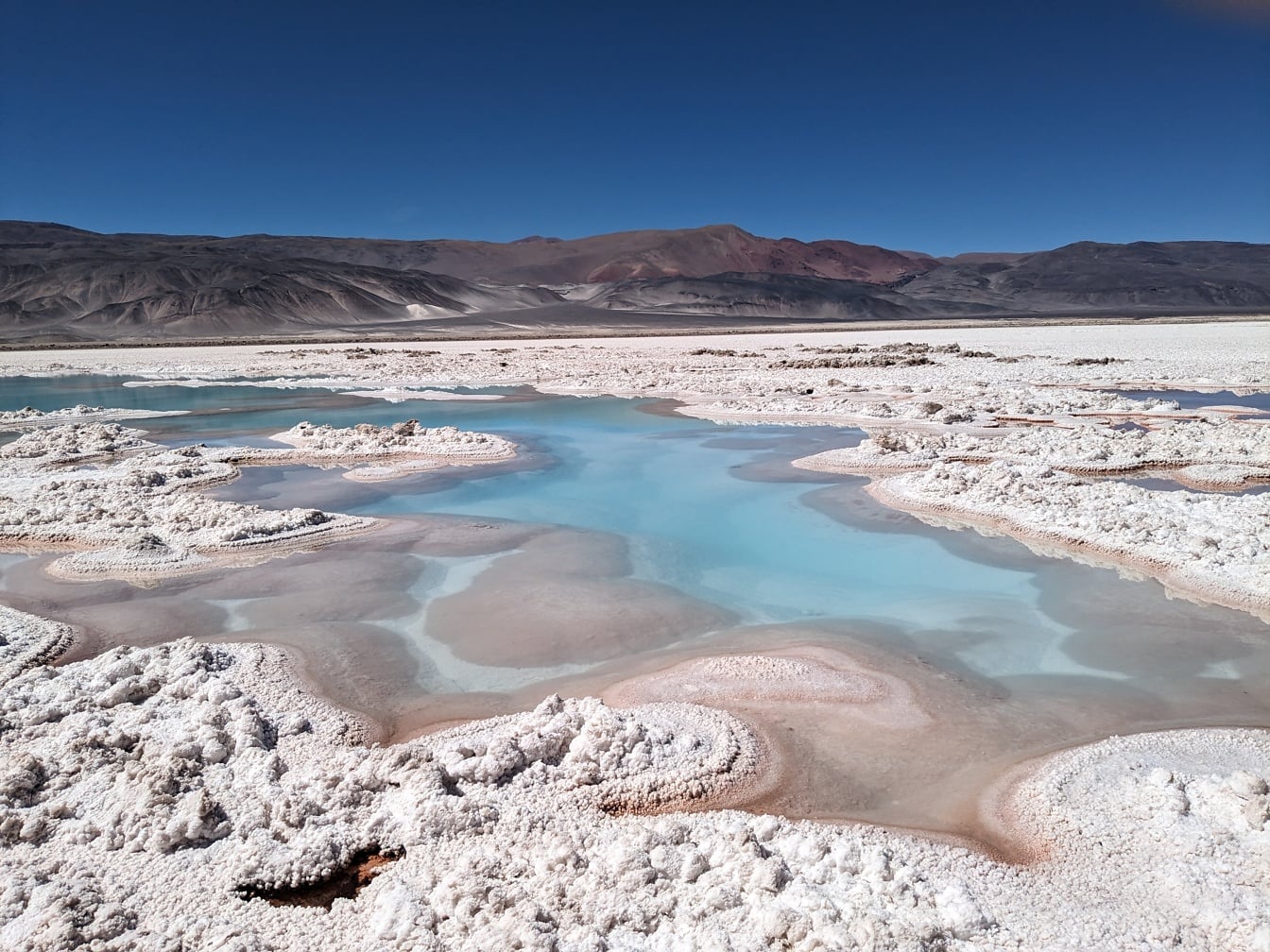 Salar de Antofalla, slana močvarna oaza sa sedimentima soli na sušnoj pustinjskoj visoravni
