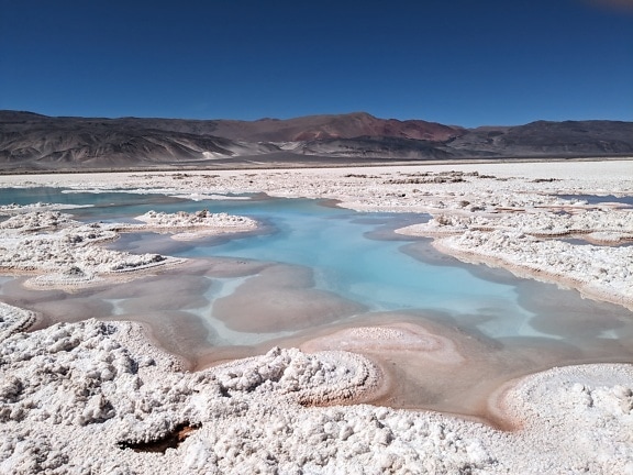 塩湖デアントファリャ:乾燥した砂漠の台地にある塩の堆積物がある塩性湿地のオアシス