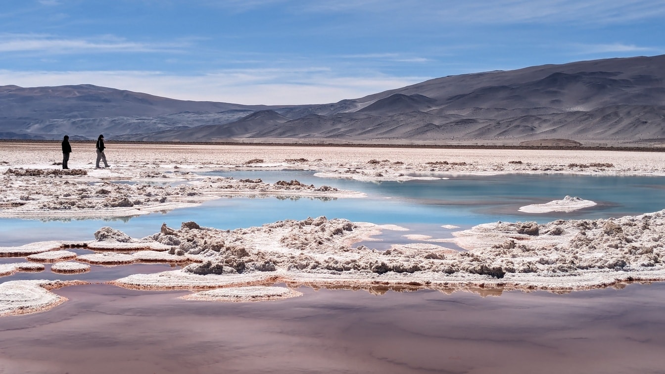Oasis de lago salado con depósitos de sal en la costa en la meseta del desierto en La Puna en Argentina