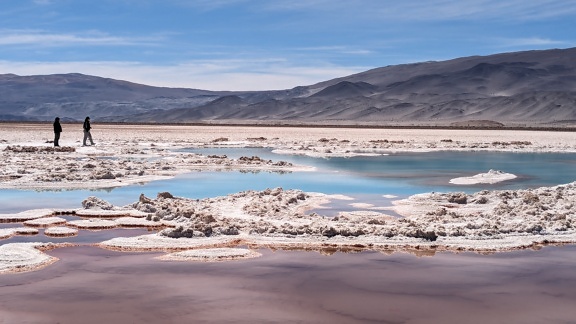 Saltsjöoas med saltavlagringar på stranden på öknens platå i La Puna i Argentina