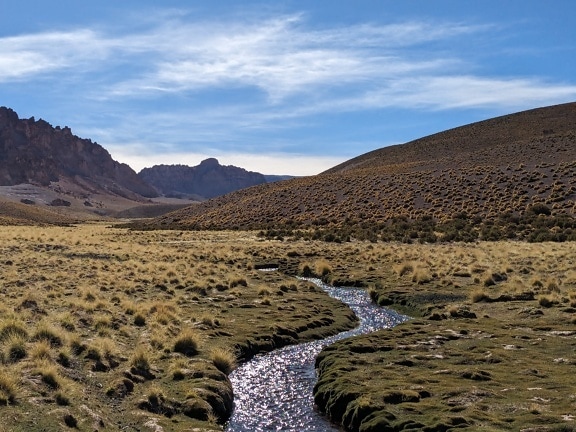 Increíble paisaje de arroyo que corre a través de un campo cubierto de hierba en la Puna de Atacama en Argentina