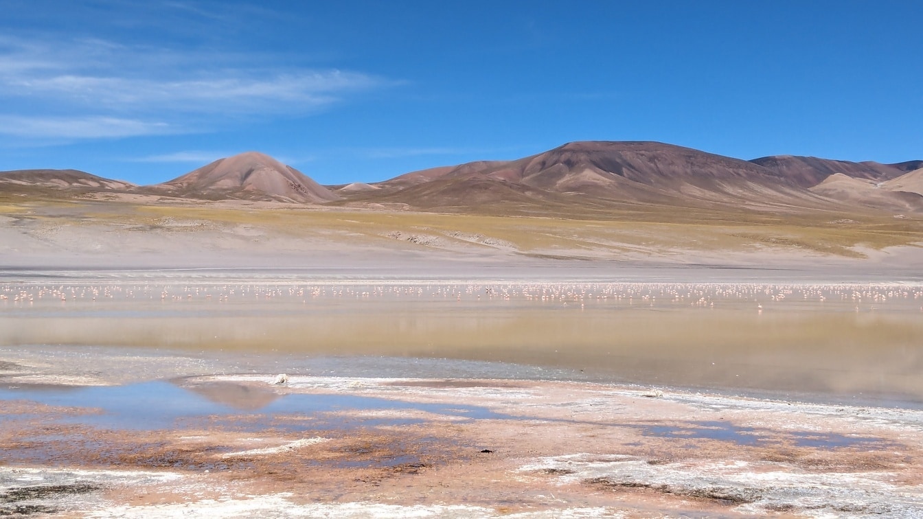 Landskab med saltvandssø og bjerge i baggrunden i naturreservat i Argentina