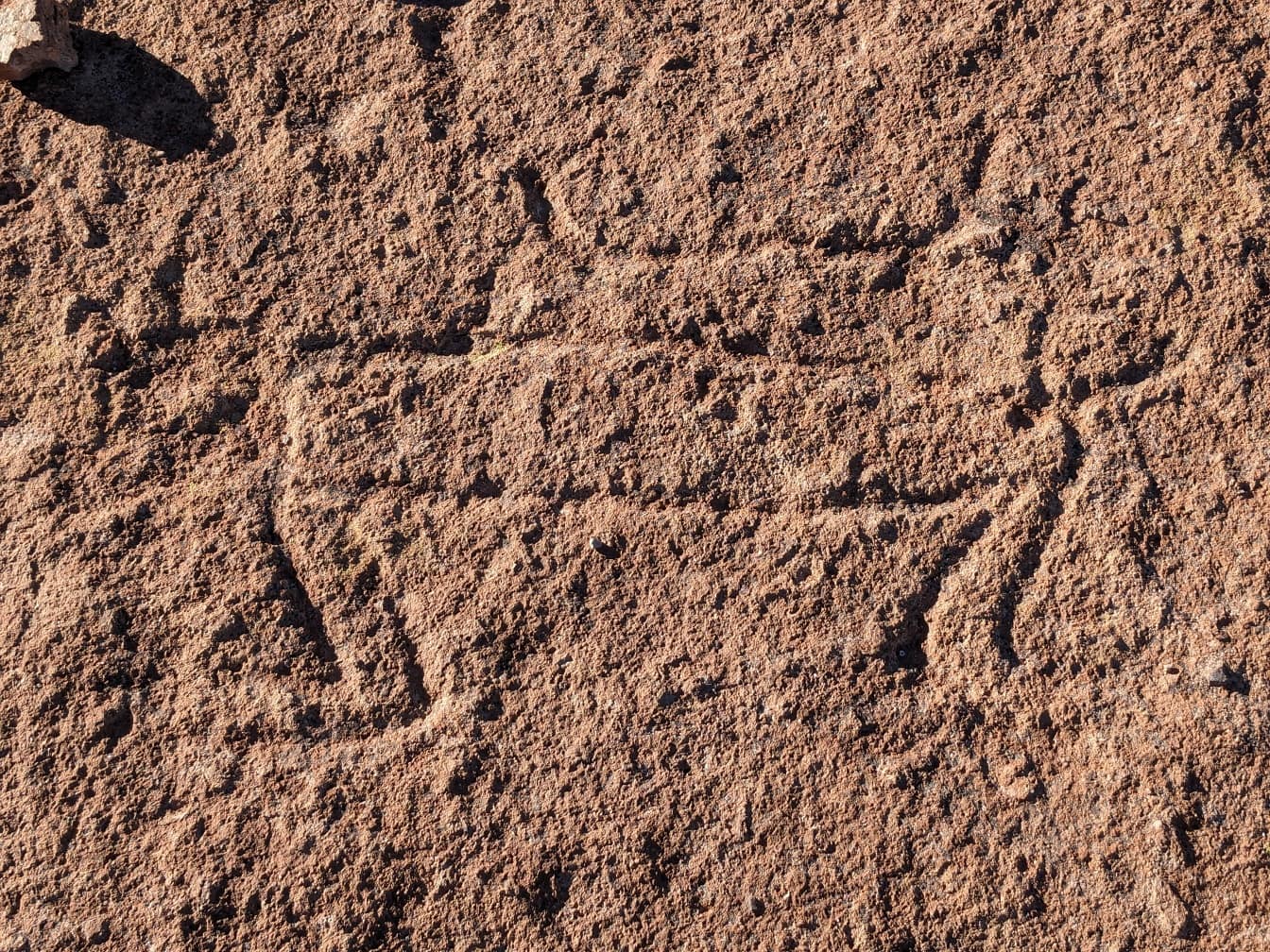 Eine uralte Petroglyphe, Felszeichnungen in Südamerika aus der prähistorischen Zeit