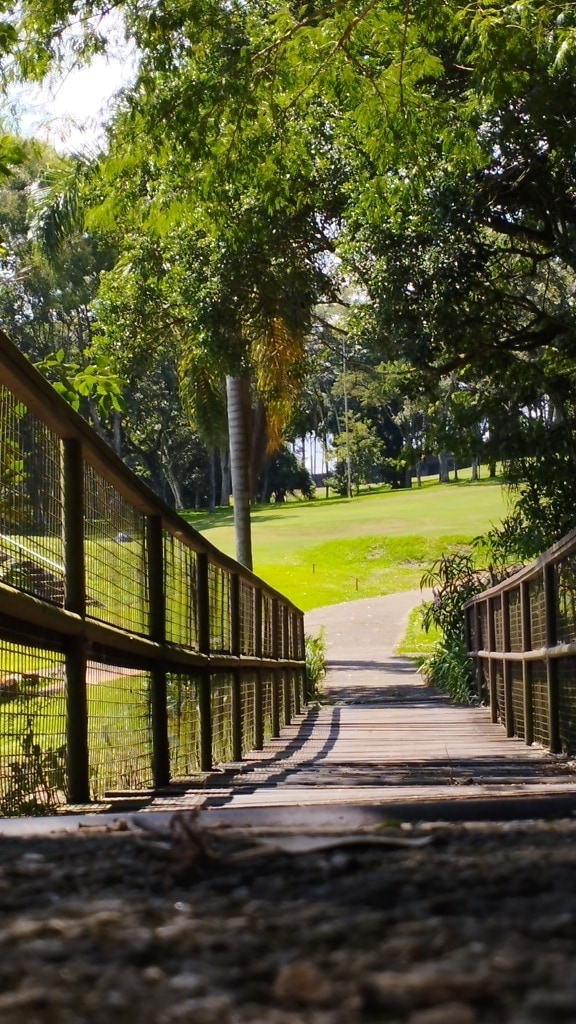 Cầu đi bộ bằng gỗ trong công viên trung tâm thành phố