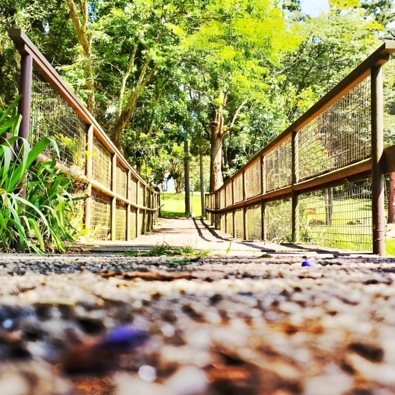 A road to wooden pedestrian bridge with fence in botanical park