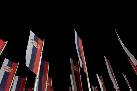 Many flags of republic of Serbia on poles at night