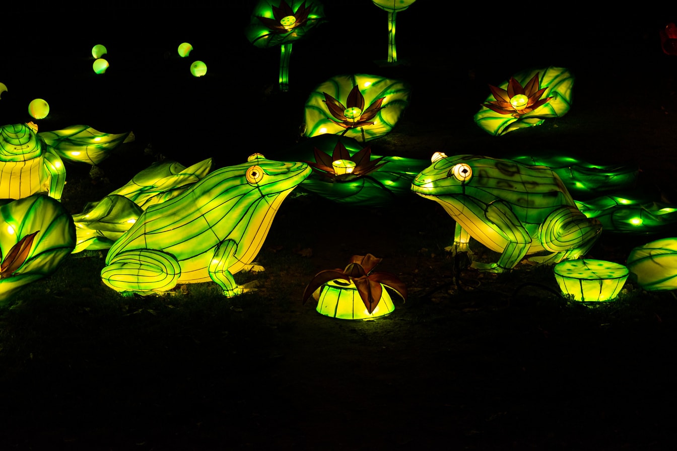 Upplysta skulpturer av grodor som tänds på natten på kinesisk lyktfestival