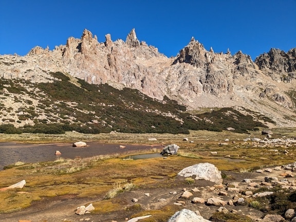Stream in valley at Refugio Frey at San Carlos de Bariloche in the Nahuel Napi national park