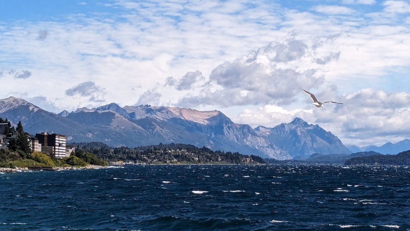 Burung camar terbang di atas danau Nahuel Huapi dengan pegunungan di latar belakang