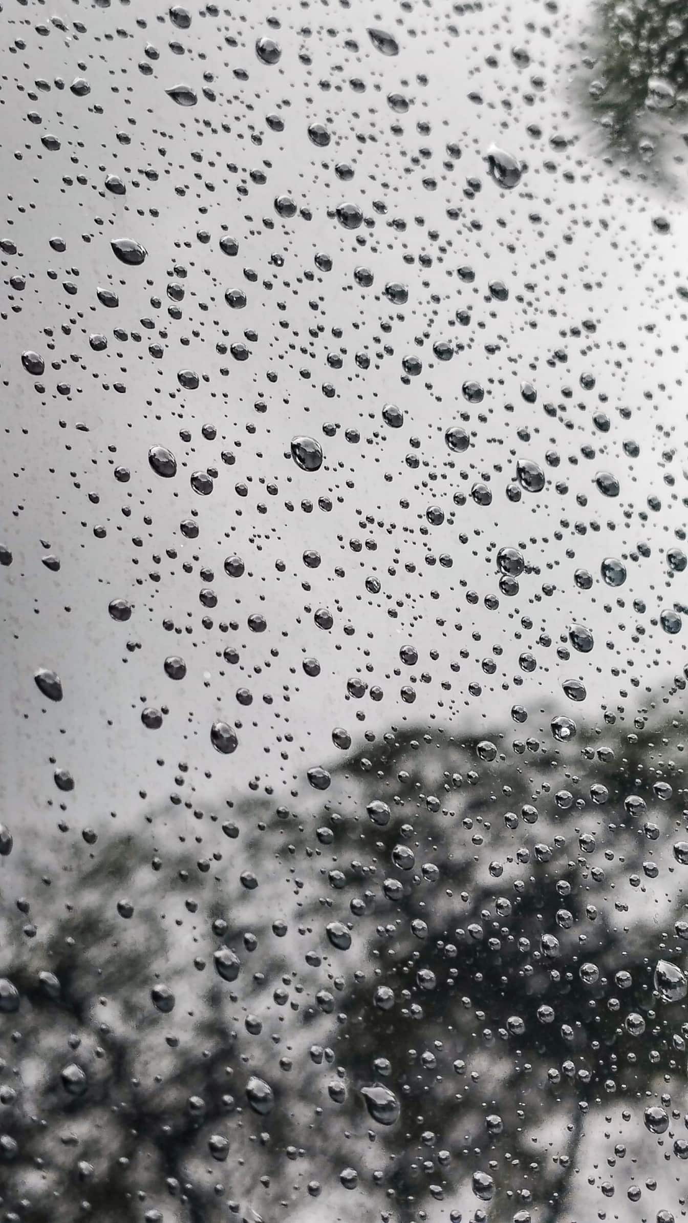 Vattendroppar på ett fönster, närbild svartvitt foto
