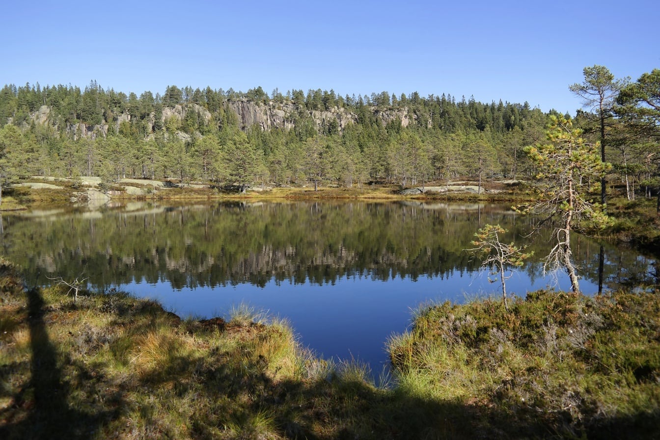 Lac en Norvège avec des arbres sur des collines se reflétant sur une surface d’eau calme