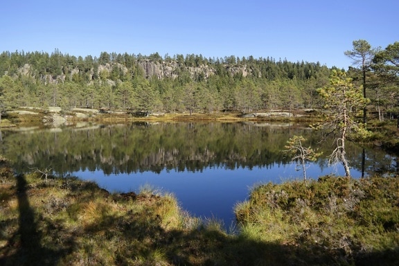 Lake in Norway with trees on hills reflected on calm water surface