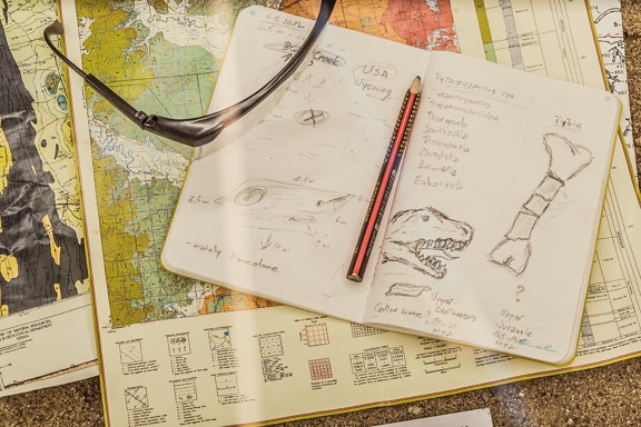 Ein Notizbuch mit einer Zeichnung des Dinosaurierkopfes und einer Karte darunter, eine Darstellung paläontologischer wissenschaftlicher Forschung