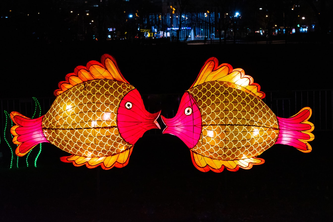 Două sculpturi iluminate în formă de pește la expoziția festivalului chinez de lumini noaptea în parc