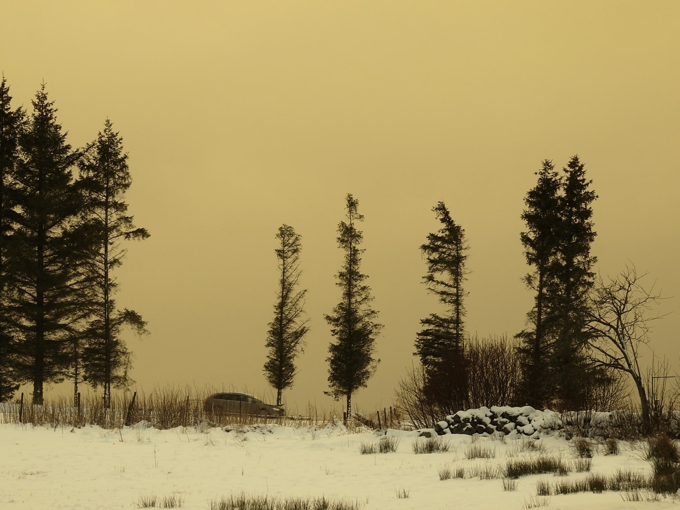 Snehové pole so žltkastou oblohou za súmraku a auto na ceste v diaľke v Nórsku