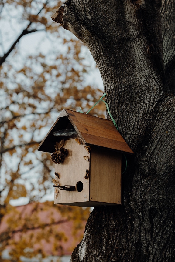Handmade decorated rustic bird house hanging on a tree