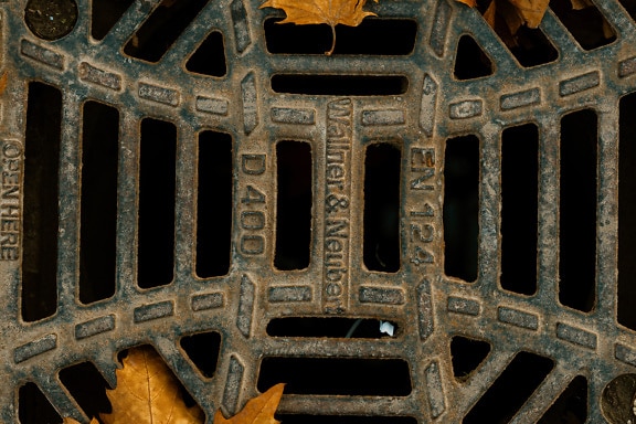 Metal grid of cast iron sewage drain with leaves