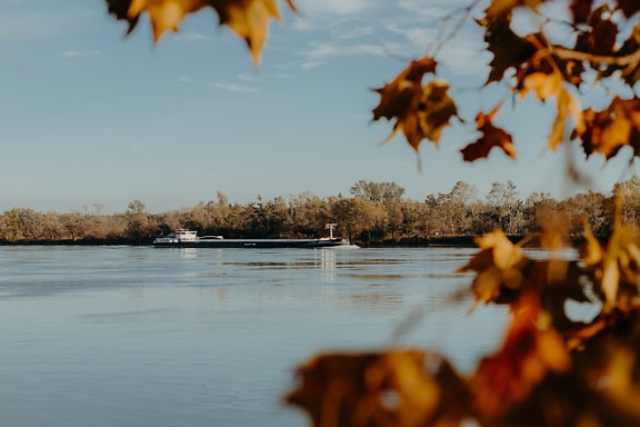A barge boat sails on the Danube river on a sunny autumn day