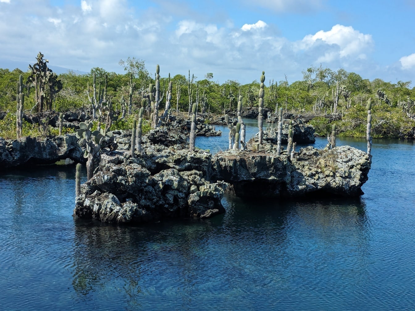 Peisaj costal din Galapagos cu cactuși pe insule stâncoase în apă