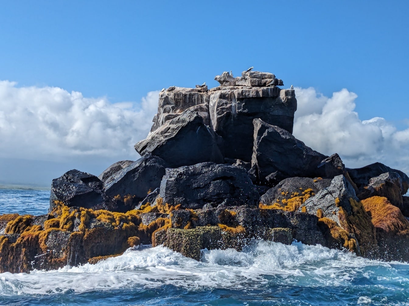Stenig formation som stänks av Stilla havets vågor i naturparken på ön Galapagos