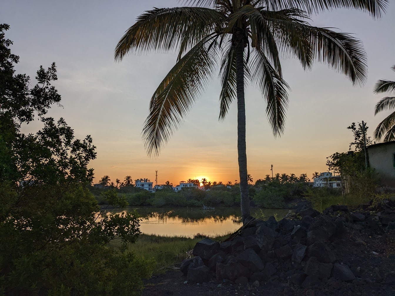 Palme ved siden av et vann med tropisk solnedgang i bakgrunnen
