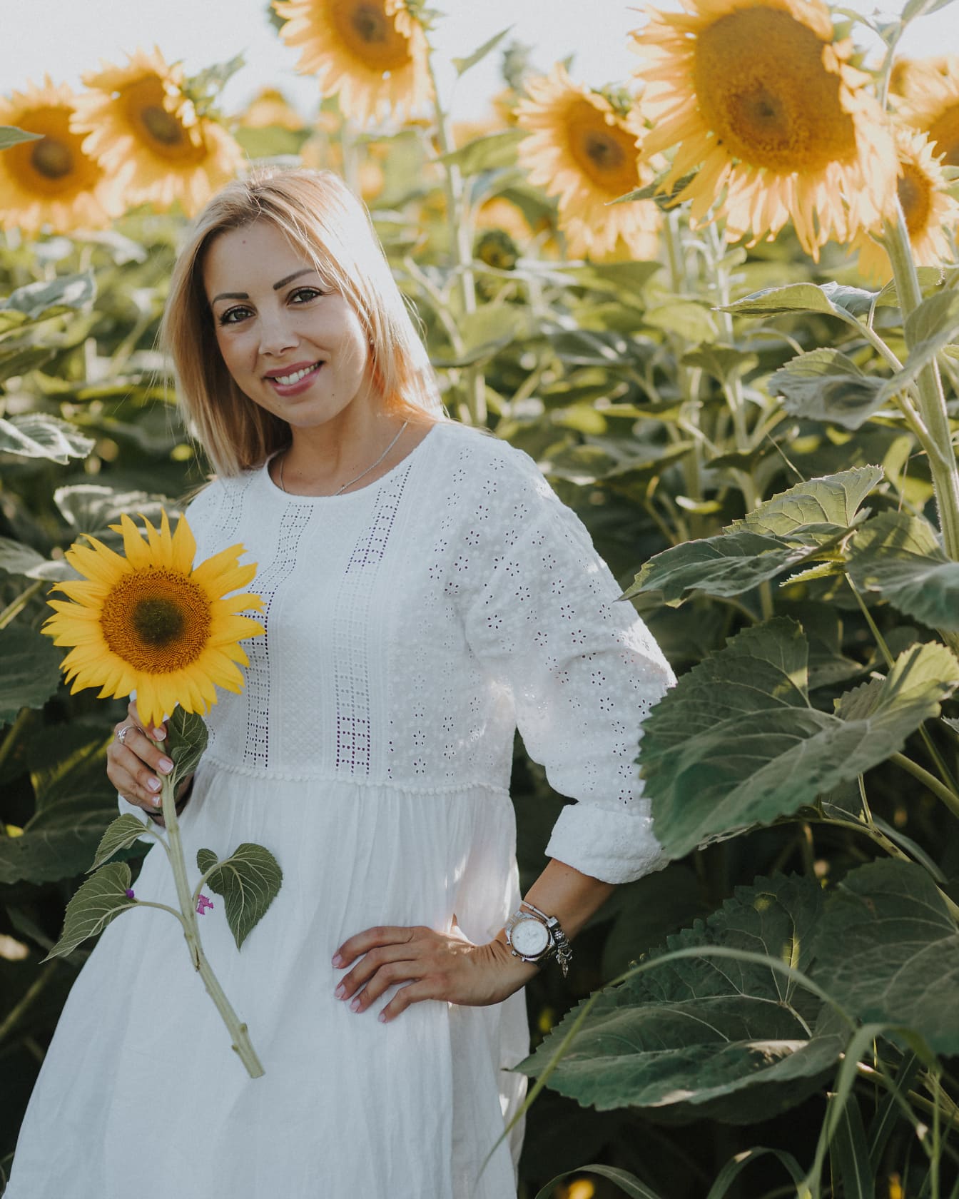 Симпатична сільська блондинка в білій сукні стоїть на соняшниковому полі і тримає в руках соняшник