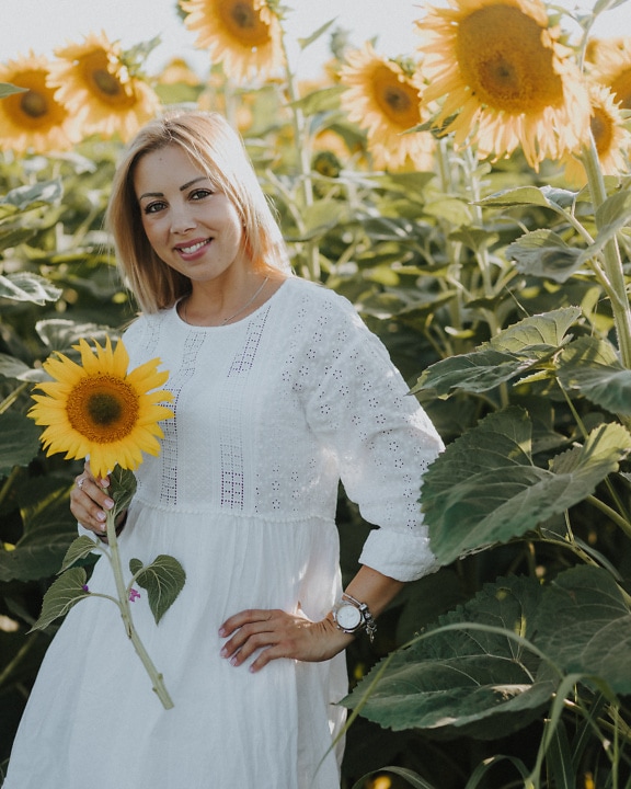 Hübsche Landblondine in weißem Kleid steht in einem Sonnenblumenfeld und hält eine Sonnenblume in der Hand