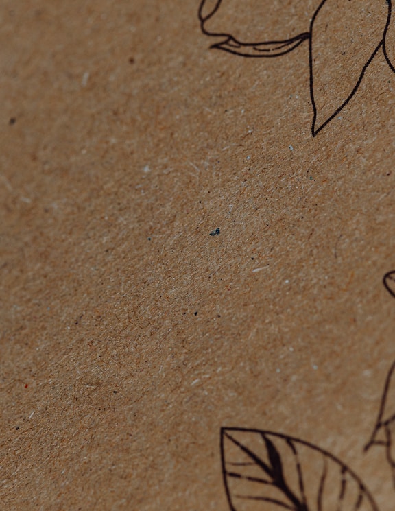 Textura de primer plano de una caja de cartón marrón con líneas negras
