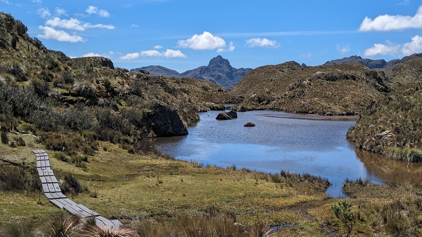 Horská rieka pretekajúca trávnatou plochou v národnom parku Cajas v Ekvádore