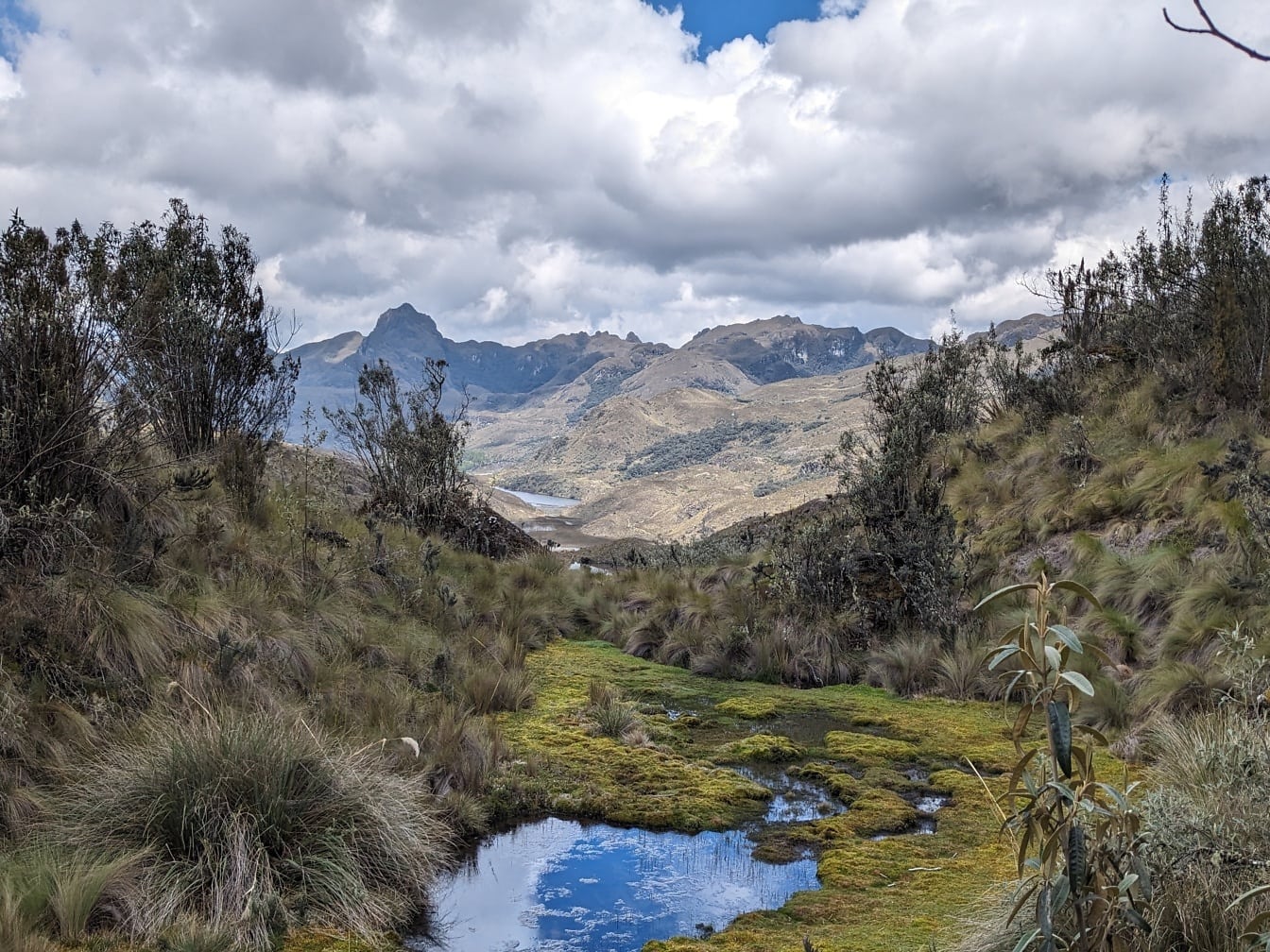 Aliran kecil di lembah dengan pegunungan di latar belakang di taman alam Cajes di Ekuador