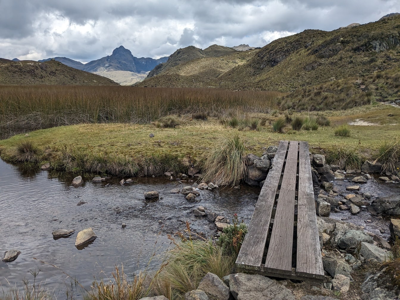 Drevený most vyrobený z troch dosiek nad potokom v prírodnom parku Cajas v kantóne Cuenca, Ekvádor