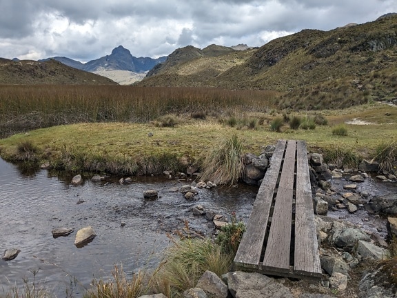 Wooden bridge made out of three planks over a stream in natural park Cajas in Cuenca canton, Ecuador