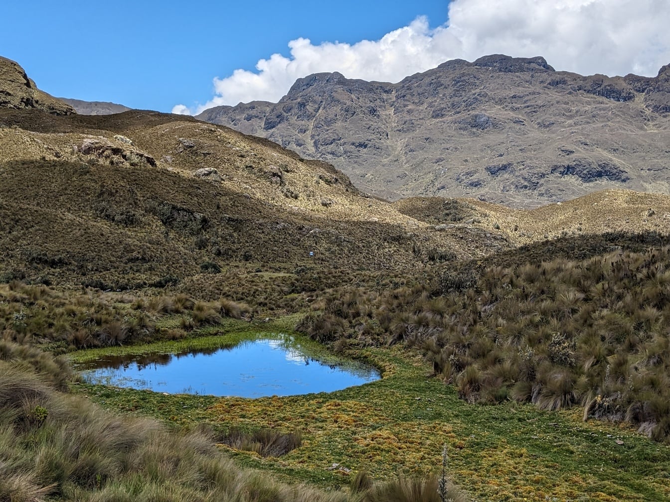 Hồ nhỏ trong một khu vực cỏ ở vùng núi của công viên tự nhiên Cajas ở Ecuador