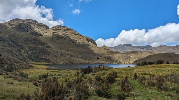 Panorama of lakeside on a plateau in Cajas natural park in Ecuador