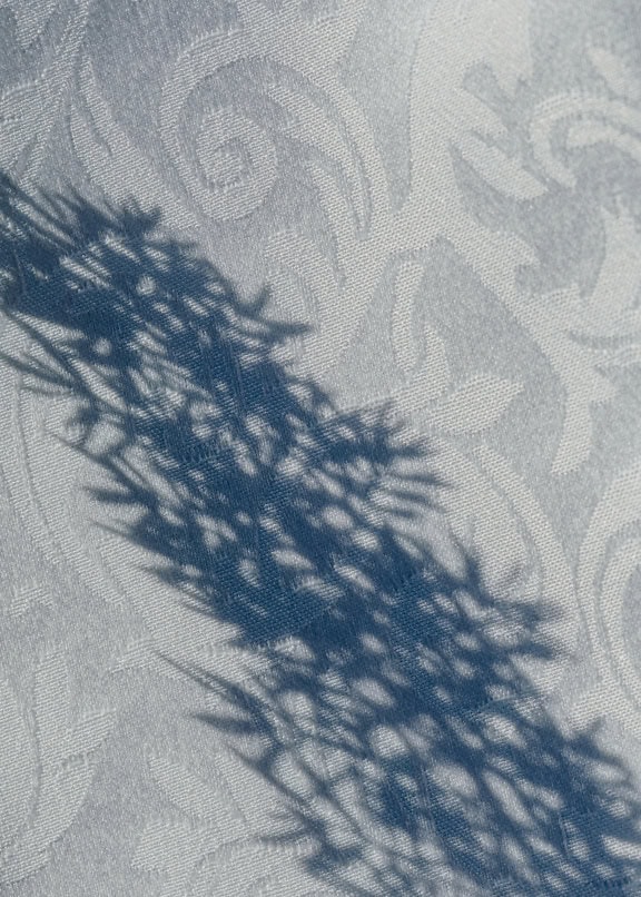 Sombra de una planta sobre una superficie de tela de damasco blanco
